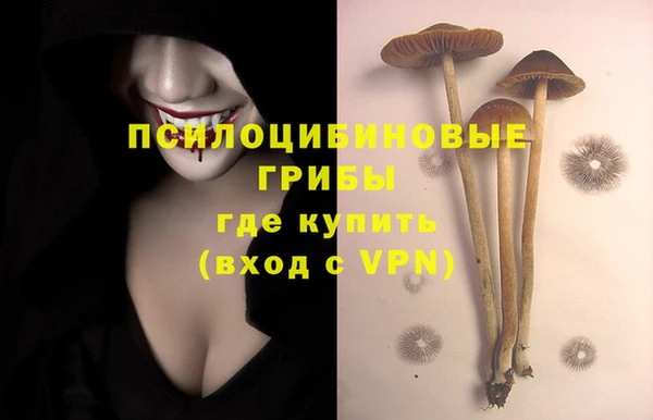 дмт Алзамай