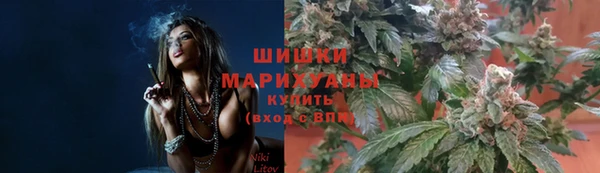 дмт Алзамай
