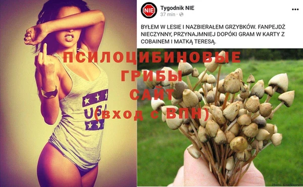 герыч Бикин
