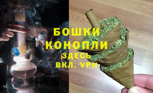 крисы Козельск