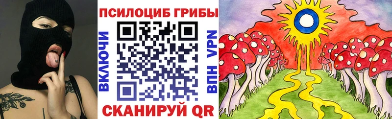 купить наркоту  Грязовец  kraken онион  Псилоцибиновые грибы Psilocybine cubensis 